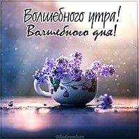Картинка волшебного утра и дня