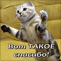 Картинка вот такое спасибо смешная