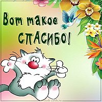 Картинка вот такое спасибо