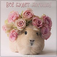 Картинка все будет хорошо с надписью прикольная