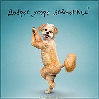 Картинка всем доброе утро и хорошего дня