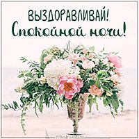 Картинка выздоравливай и спокойной ночи