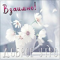 Картинка взаимно доброе утро