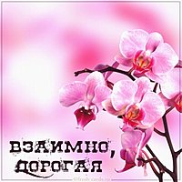 Картинка взаимно дорогая