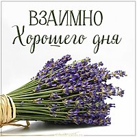 Картинка взаимно хорошего дня