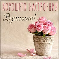 Картинка взаимно хорошего настроения