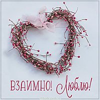 Картинка взаимно люблю