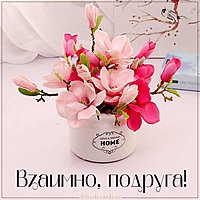 Картинка взаимно подруга