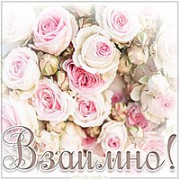 Картинка взаимно