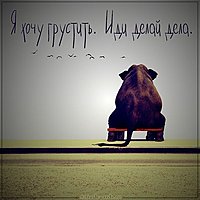 Картинка я хочу грустить иди делай дела