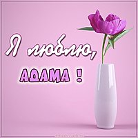 Картинка я люблю Адама
