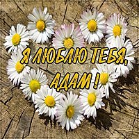 Картинка я люблю тебя Адам