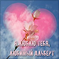 Картинка я люблю тебя любимый Альберт