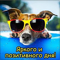 Картинка яркого и позитивного дня