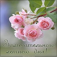 Картинка замечательного летнего дня