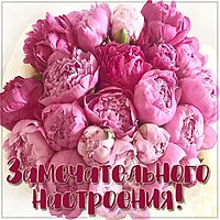 Картинка замечательного настроения