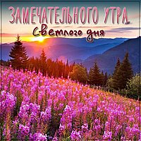 Картинка замечательного утра светлого дня