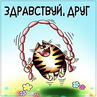Картинка здравствуй друг