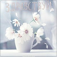 Картинка здравствуй красивая