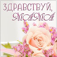 Картинка здравствуй мама