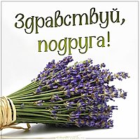 Картинка здравствуй подруга