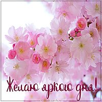 Картинка желаю яркого дня