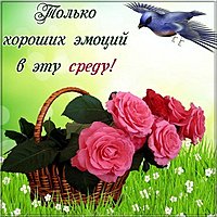Хорошего настроения в среду прикольная картинка