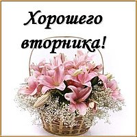 Красивая электронная открытка хорошего вторника