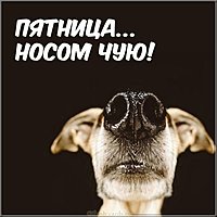 Красивая электронная открытка с днем пятницы