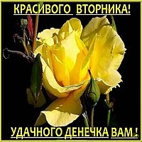 Красивая электронная открытка с днем вторника