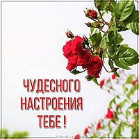 Красивая картинка чудесного настроения