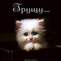 Красивая картинка грущу