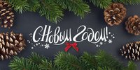 Красивая картинка с 2019 Новым Годом свиньи загрузить