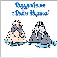 Красивая картинка с днем моржа