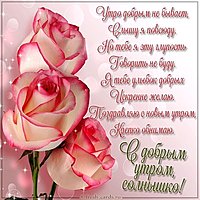 Красивая картинка с добрым утром солнышко