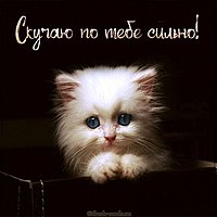 Красивая картинка скучаю по тебе сильно