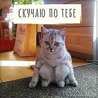 Красивая картинка скучаю по тебе