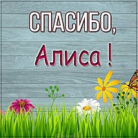 Красивая картинка спасибо Алиса