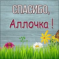 Красивая картинка спасибо Аллочка