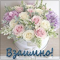 Красивая картинка взаимно