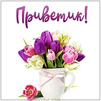 Красивая открытка приветик