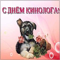Красивая открытка с днем кинолога