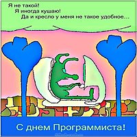 Красивая открытка с днем программиста