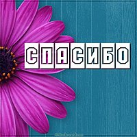 Красивая открытка с цветами спасибо