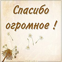 Красивая открытка со словами спасибо огромное