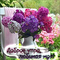 Красивая виртуальная картинка доброе утро любимая моя