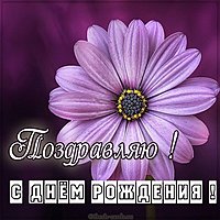 Креативная картинка с днем рождения с цветами