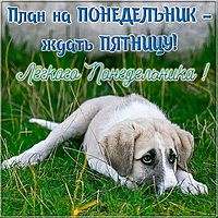 Легкого понедельника картинка смешная