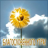 Летняя картинка благословенного утра