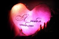 Люблю тебя зайка